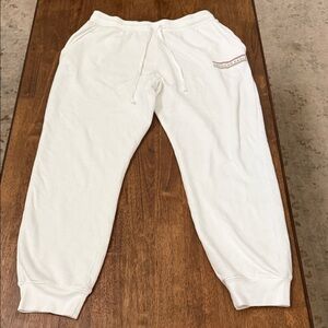 American Eagle Plush Terry Sweatpants Size Large Long